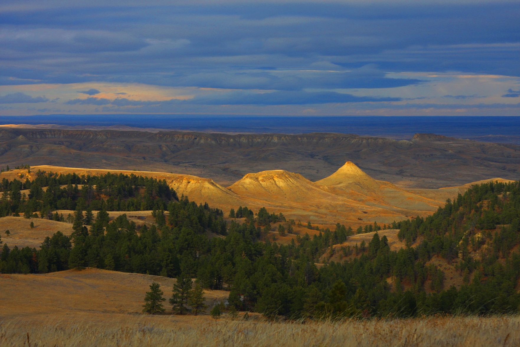 Prairie